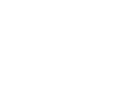 Car inspection checklist icon with a vehicle and ticked boxes.